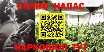 a pvp Бийск