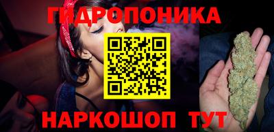 спиды Берёзовский