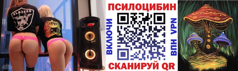 omg сайт  Великий Новгород  Галлюциногенные грибы прущие грибы 