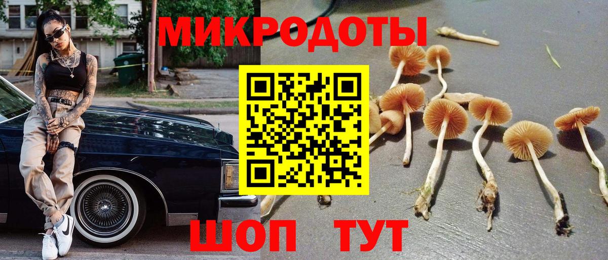 Псилоцибиновые грибы MAGIC MUSHROOMS Великий Новгород
