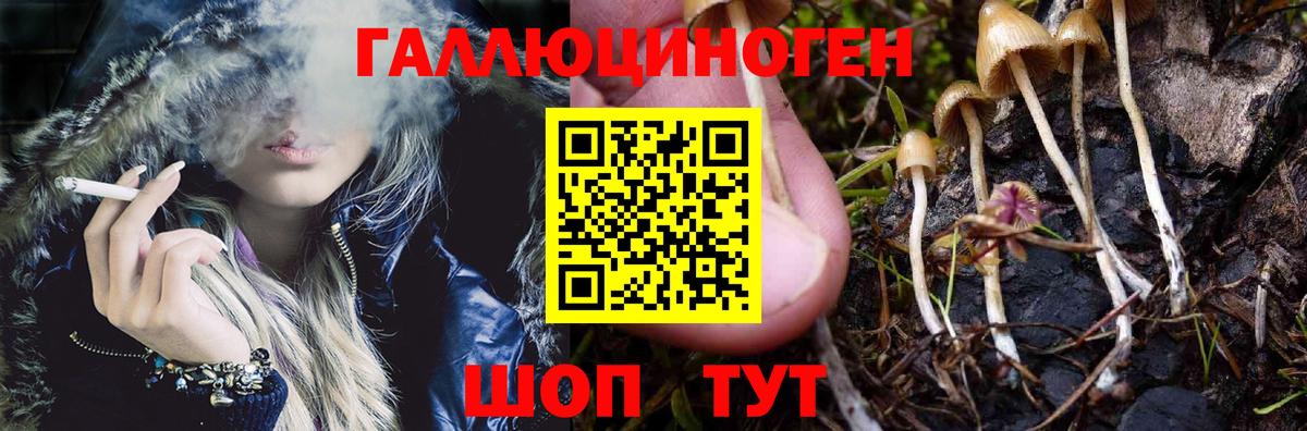 Псилоцибиновые грибы ЛСД  Великий Новгород  Галлюциногенные грибы Cubensis 