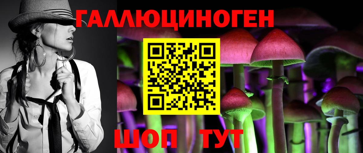 Галлюциногенные грибы GOLDEN TEACHER  Вход с VPN  Великий Новгород  Псилоцибиновые грибы Psilocybe 