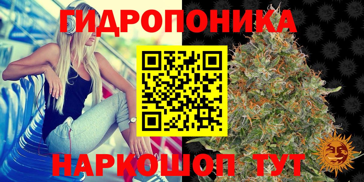 Великий Новгород  Бошки марихуана индика  Вход с VPN  Каннабис конопля 